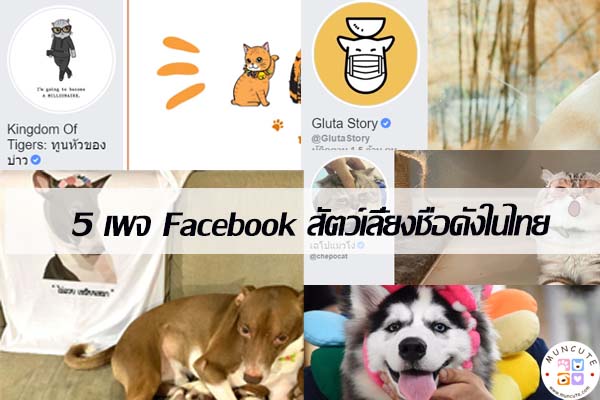 5 เพจ Facebook สัตว์เลี้ยงชื่อดังในไทย