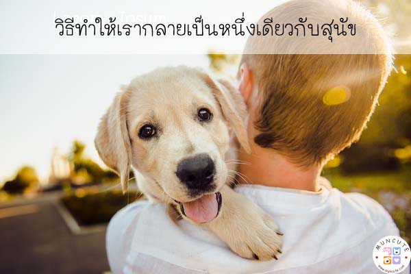 วิธีทำให้เรากลายเป็นหนึ่งเดียวกับสุนัข #เจ้าตูบ