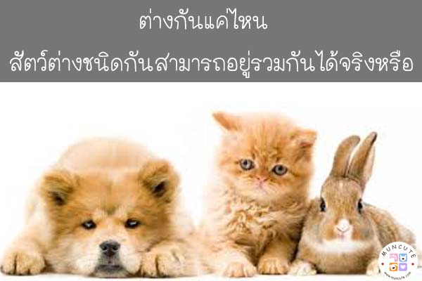 ต่างกันแค่ไหน สัตว์ต่างชนิดกันสามารถอยู่รวมกันได้จริงหรือ #สัตว์โลกน่ารัก