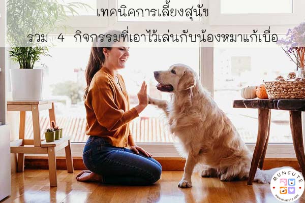 เทคนิคการเลี้ยงสุนัข รวม 4 กิจกรรมที่เอาไว้เล่นกับน้องหมาแก้เบื่อ #สัตว์โลกน่ารัก