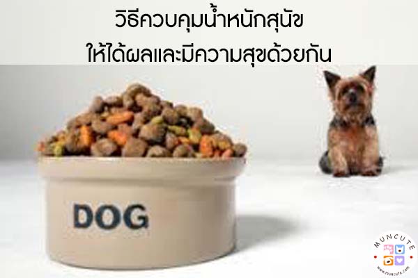 วิธีควบคุมน้ำหนักสุนัขให้ได้ผลและมีความสุขด้วยกัน #สัตว์โลกน่ารัก