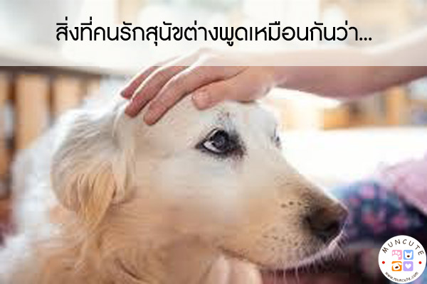 สิ่งที่คนรักสุนัขต่างพูดเหมือนกันว่า... #สัตว์โลกน่ารัก