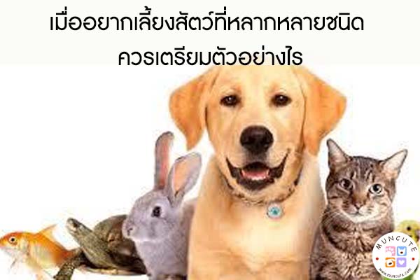 เมื่ออยากเลี้ยงสัตว์ที่หลากหลายชนิด ควรเตรียมตัวอย่างไร #สัตว์โลกน่ารัก