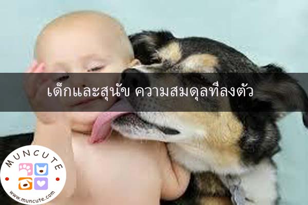 เด็กและสุนัข ความสมดุลที่ลงตัว