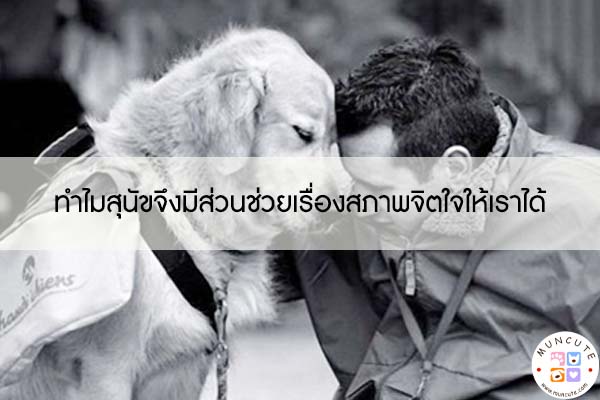 ทำไมสุนัขจึงมีส่วนช่วยเรื่องสภาพจิตใจให้เราได้ #ทาสหมา