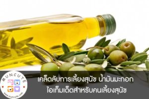 เคล็ดลับการเลี้ยงสุนัข น้ำมันมะกอก ไอเท็มเด็ดสำหรับคนเลี้ยงสุนัข