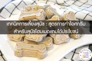 เทคนิคการเลี้ยงสุนัข - สูตรการทำไอศกรีมสำหรับสุนัขโฮมเมดแถมได้ประโยชน์